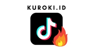 Api Tiktok (Streak) Artinya Apa? Tidak Muncul dan Cara Mendapatkan Runtutan